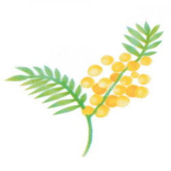 Stencil pro airbrush Mimóza větvička - Martellato