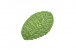 Žilkovač list Foglia 80x60mm - Silikomart