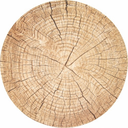 Prostírání WOODEN pr. 38 cm 710779 Orion