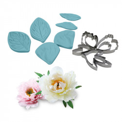 Žilkovač a vykrajovátka pivoňka 13ks 7x10cm - Cakesicq