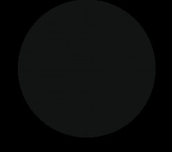 Prachová barva 5g natural black - Roxy and Rich