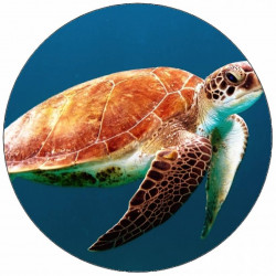 Jedlý papír želva pod vodou 19,5 cm