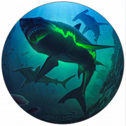 Jedlý papír žralok 19,5 cm