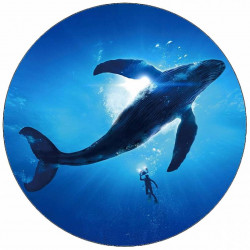 Jedlý papír velryba 19,5 cm