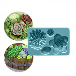 Silikonová formička sukulenty 12x8cm - Cakesicq