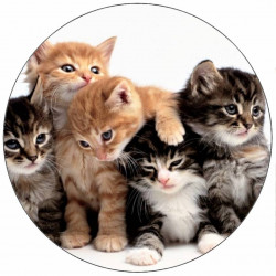 Jedlý papír koťata 19,5 cm