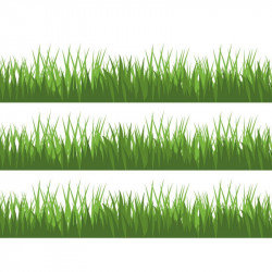 Jedlý papír tráva k vystříhnut A4 - Pictu Hap
